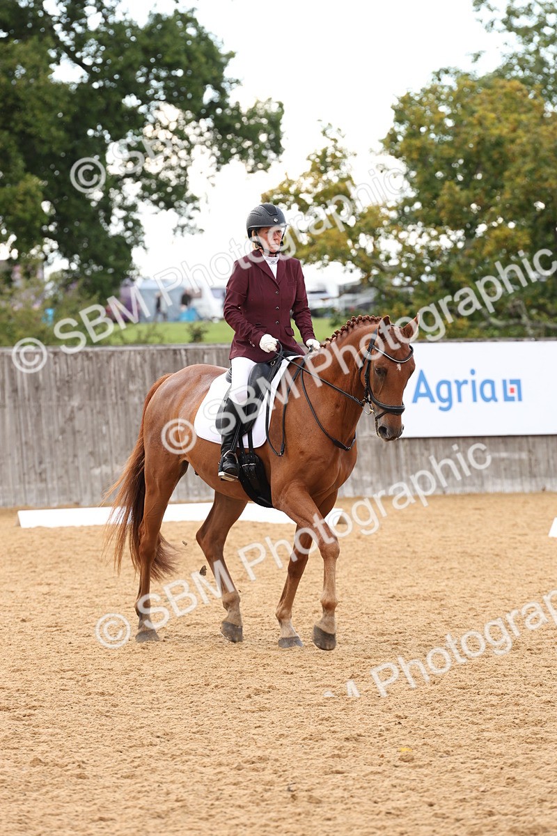 SBM_10735 - D9 - Small Tour Championship Prelim 3