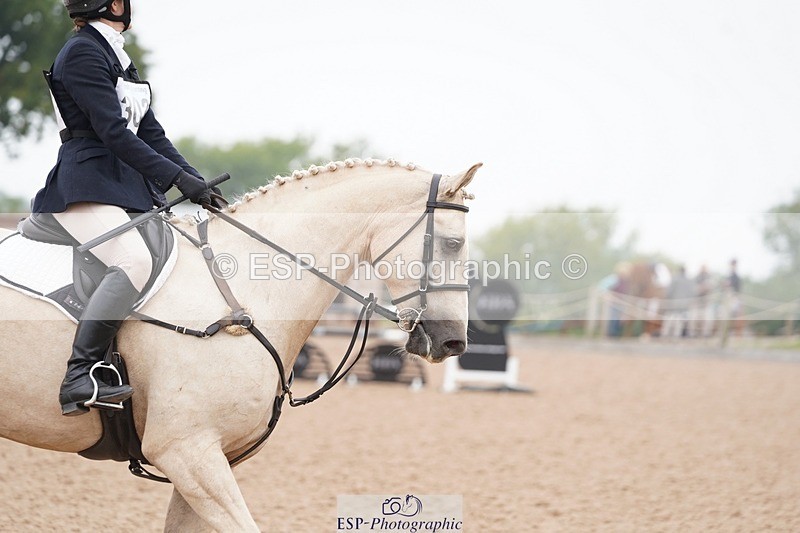 240901A-093126-05391 - 303-Johanne.Heuff-WELLVIEW.GOLDEN.WONDER