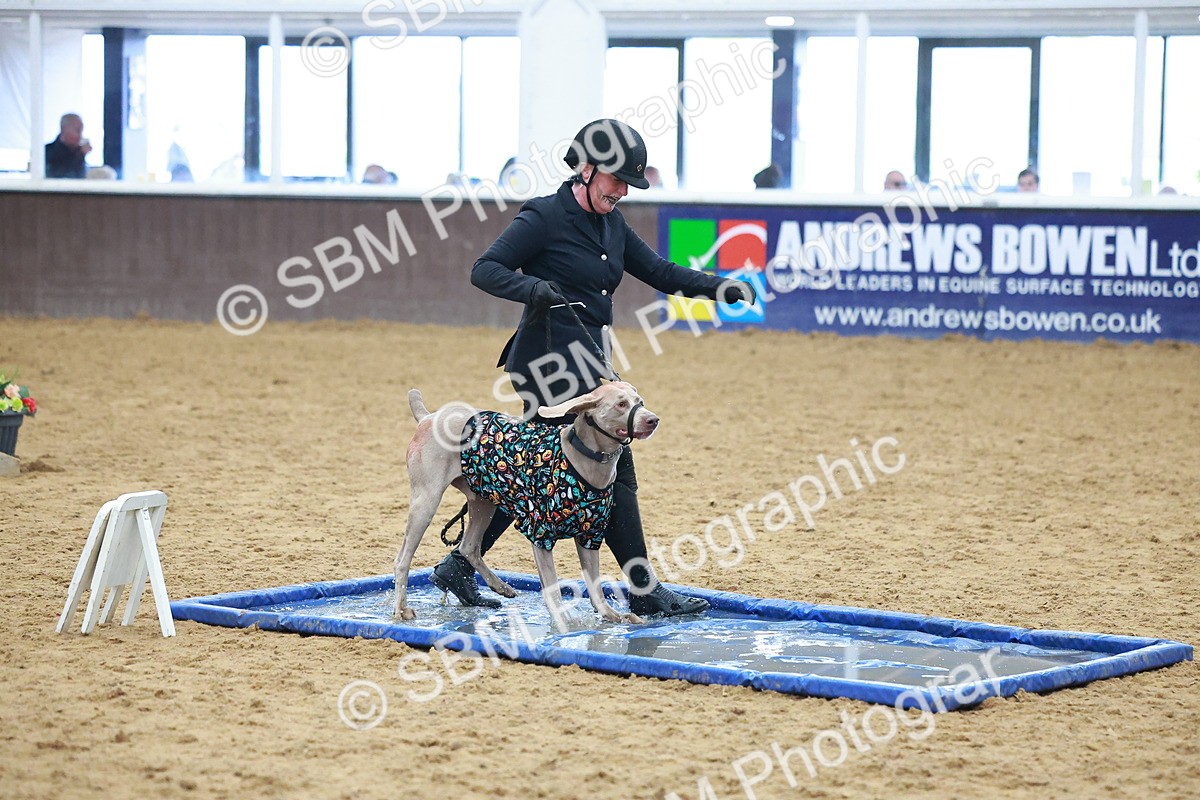 SBM_001756 - Class 3 - Horse & Hound (60cm)