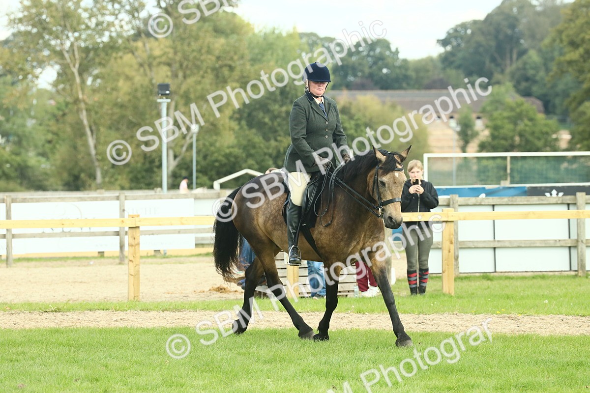 SBM_62630 - S63 - Other Coloured Horse Ridden