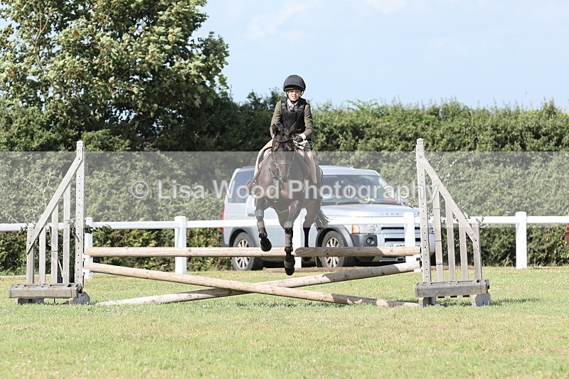 JPP_2770 - Class 20: Working Hunter 70cm