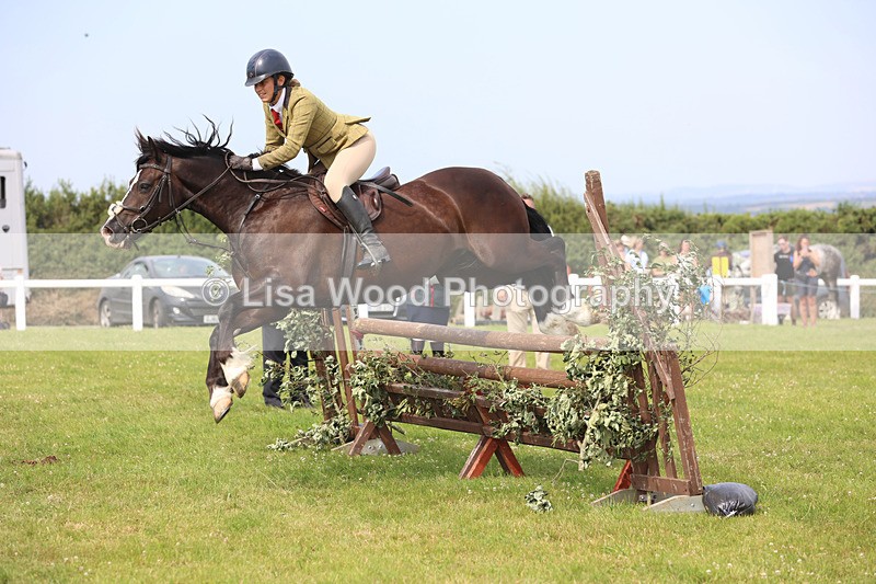 JPP_4033 - Class 24: Working Hunter 90cm