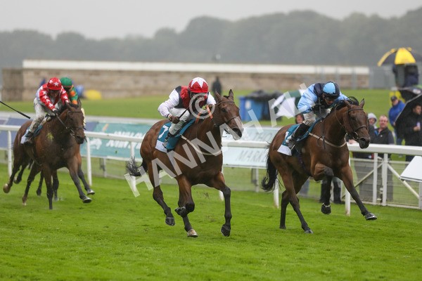 140723-Race 6-Copper Knight-8631 - Race 6 4.55pm Irish Thoroughbred Marketing Handicap