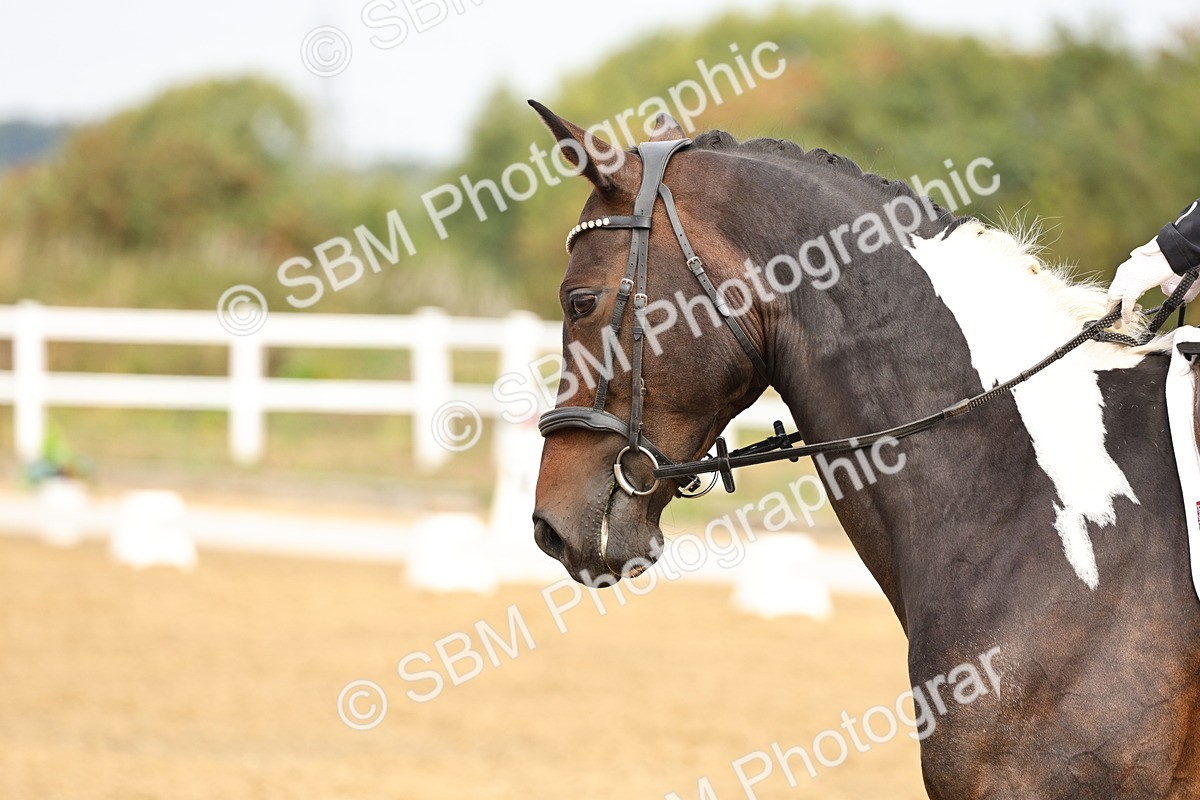 SBM_012269 - Class 2 - Prelim 5