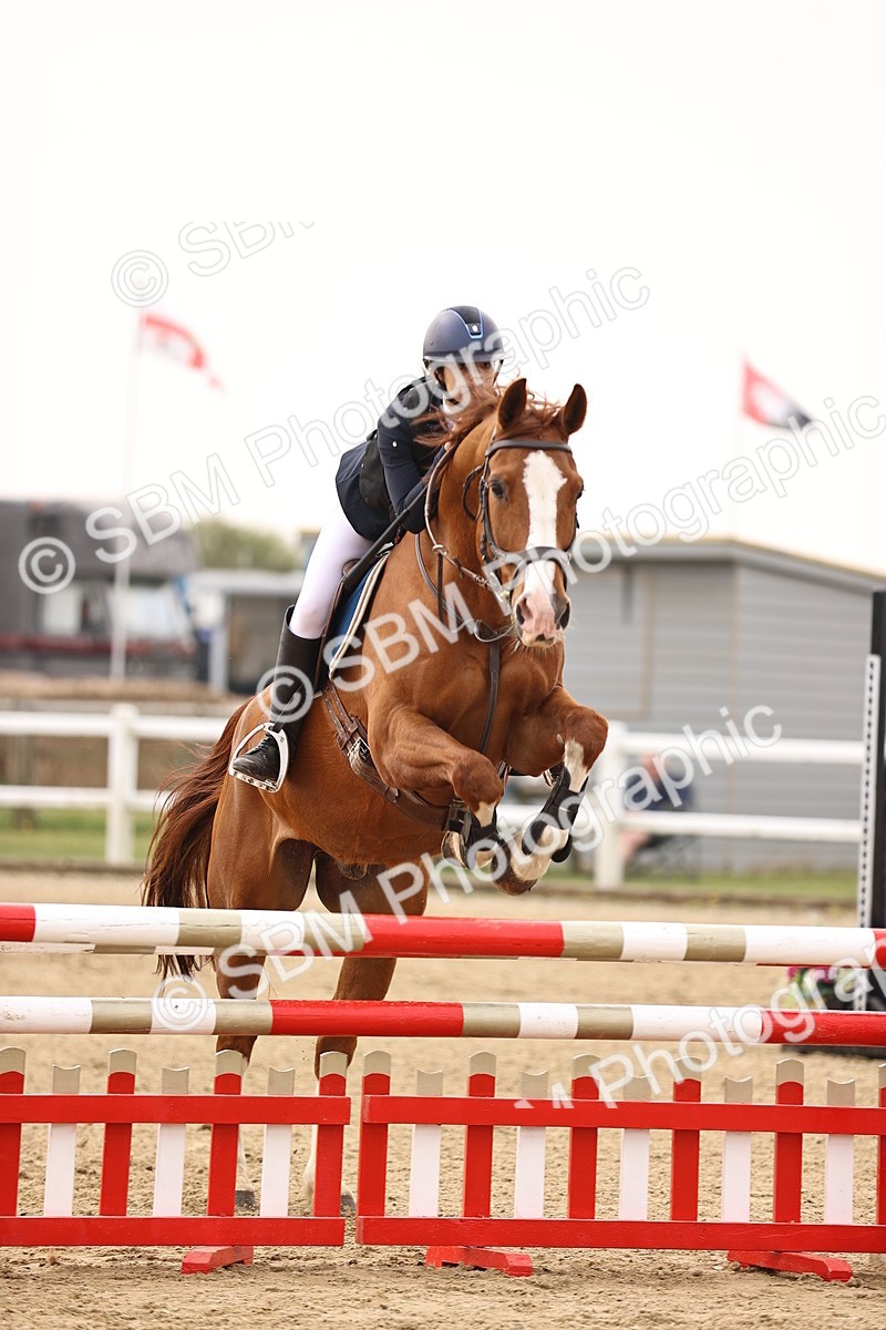  - Class 15 - Senior British novice - 90cm