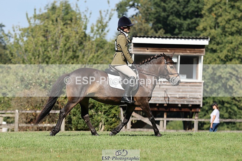 250823A-103010-27713 - Arena D