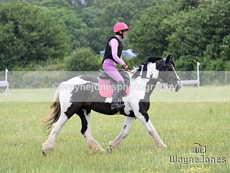 WJ7_8402 - Kellie Jade Ellie XC training with Kelly Harris 28-06-26