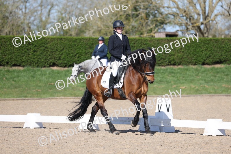 20250406-0428 - Class 3 - Novice 5