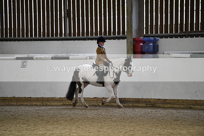 WJ5_7389 - Class 11 Ridden PC - RC Pony