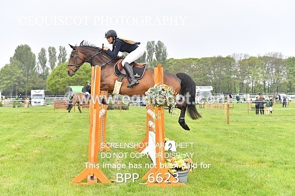 BPP_6623 - CLASS 1 Senior Newcomers/ 1.10m Open