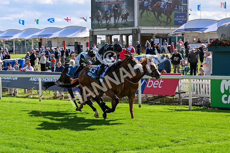 120626-Race 6-Rotokura Belle-8262 - Race 6 16.45pm Dawson Williamson Architects Handicap