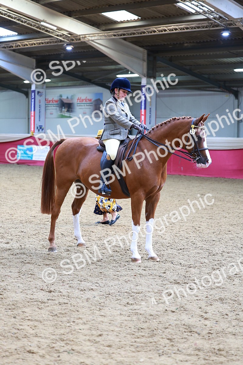 SBM_00801 - Class 6A - Ridden Pre-Vet