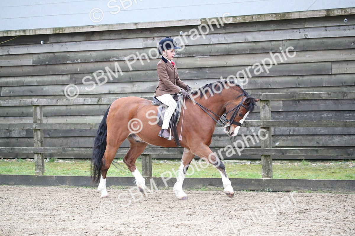 SBM_005900 - Class 10-13 - RIHS Small Large Breeds