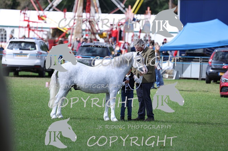 APP_2793 - Class 10a/b M&M in hand