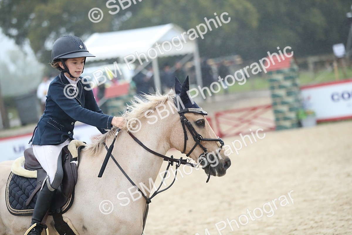SBM_74177 - Supreme championship Junior Pony 70cm 75cm