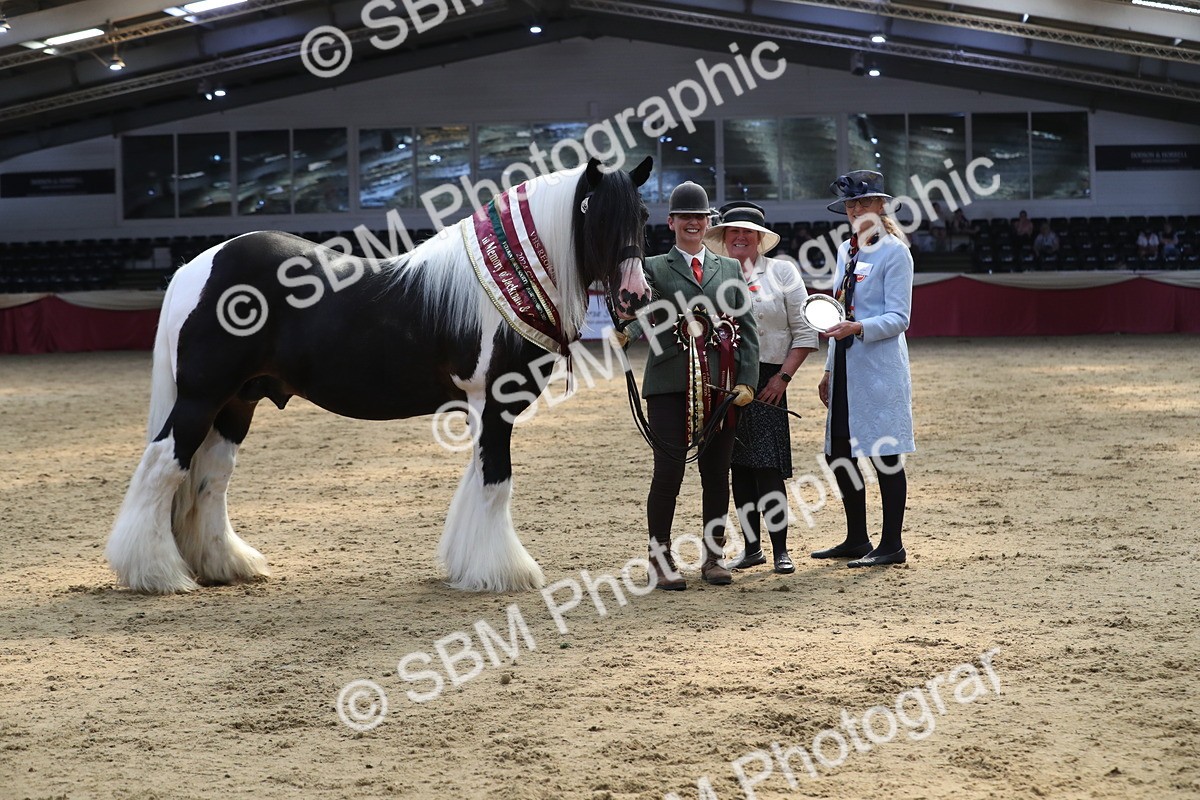 SBM_06582 - Regional IH Champ