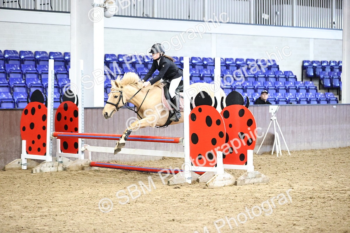 SBM_001398 - Class 9 - Pony British Novice 80cm