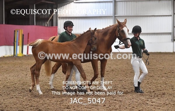 JAC_5047 - 9 Zinzipan