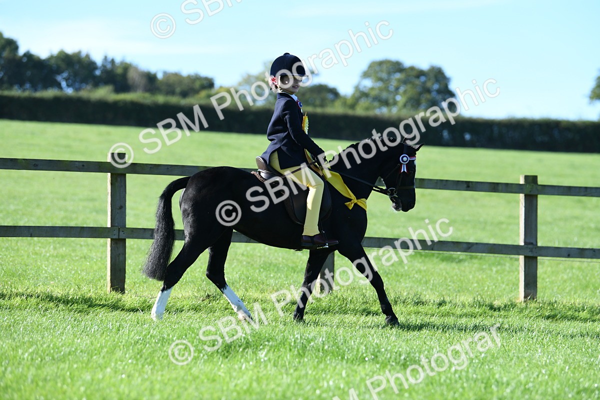 SBM_35547 - Top Turnout Supreme Championship