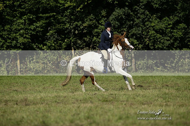 BVRC 120921 173 - Bourne Valley Riding Club UA Dressage & Show Jumping 12/09/21