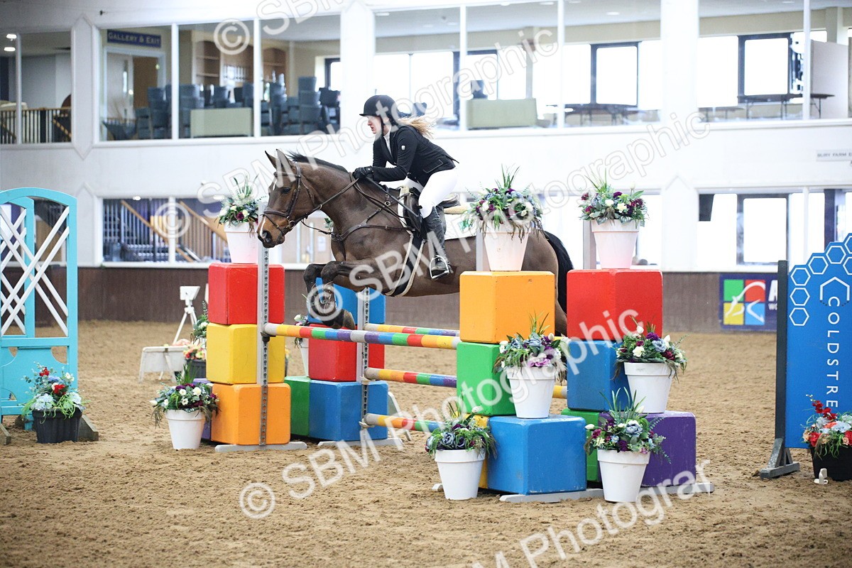 5K7A3631 - Class 2 - Nupafeed Supplements Senior Discovery/ 1m Open