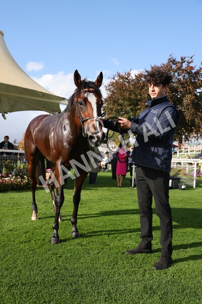 yr07102022r3-61 - Race 3 3.15pm British EBF £100,000 2yo Series Final (Colts and Geldings)