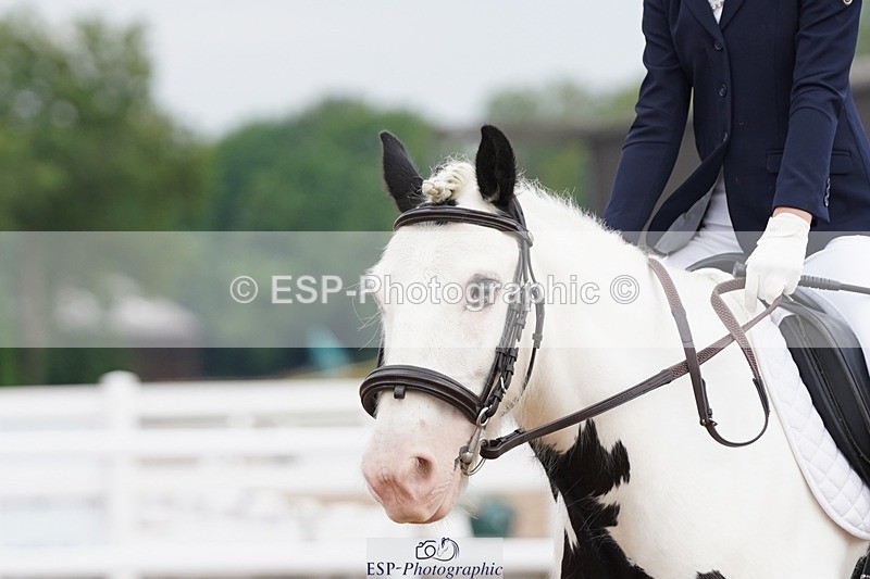 250621-101534-05644 - Quest Cls 7-11, Prelim All