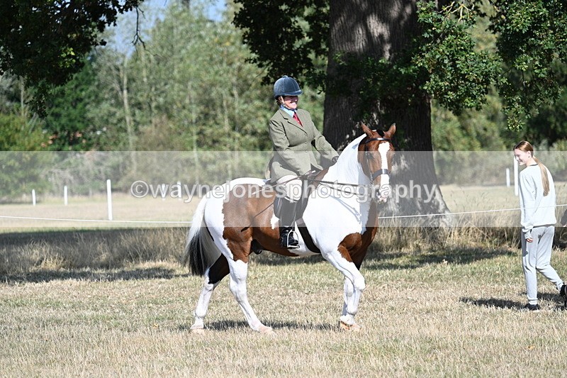 WJ7_2777 - Class 8 Ridden Tack & Turnout