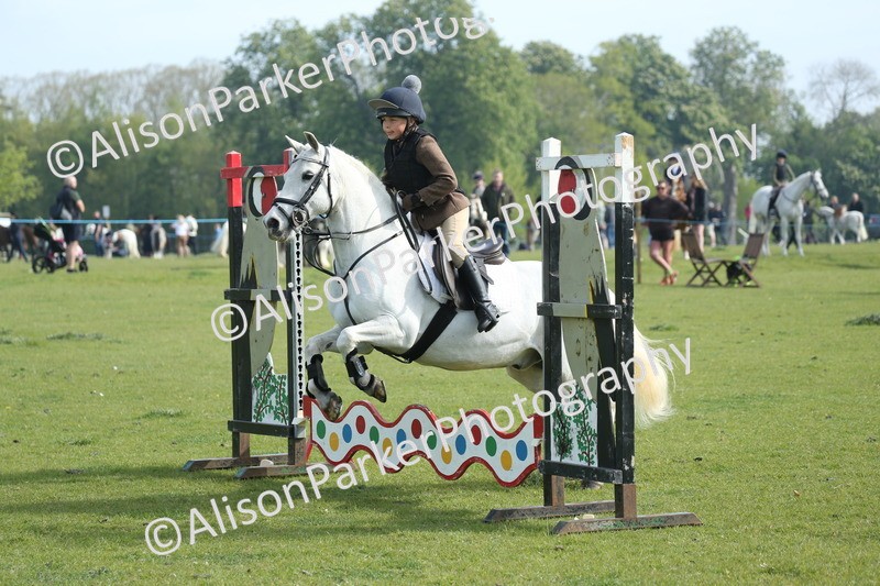 20260426-0130 - Class 13 - Rookie Jumping 50cm