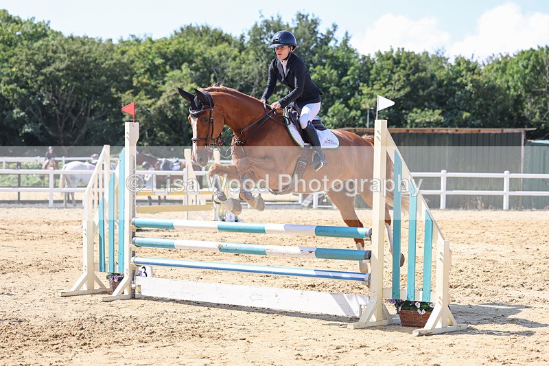 3E7A1056 - Class 4: Senior British Novice/90cm open