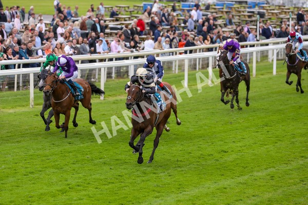 140624-Race 3-Alfa Kellenic-5601 - Race 3 3.00pm British EBF Supporting Racing With Pride Fillies' Handicap