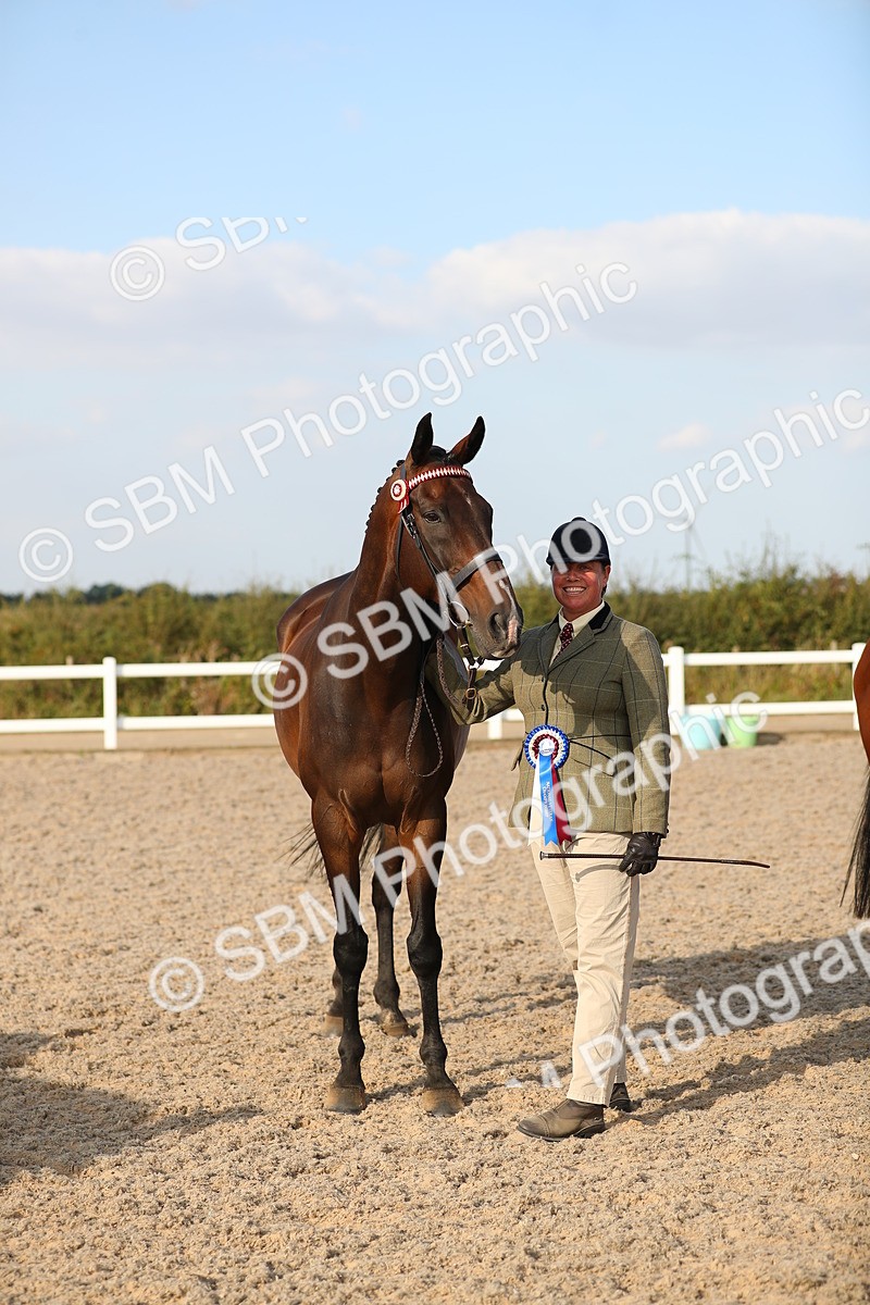 SBM_08683 - Class 28 - IH Veteran Horse