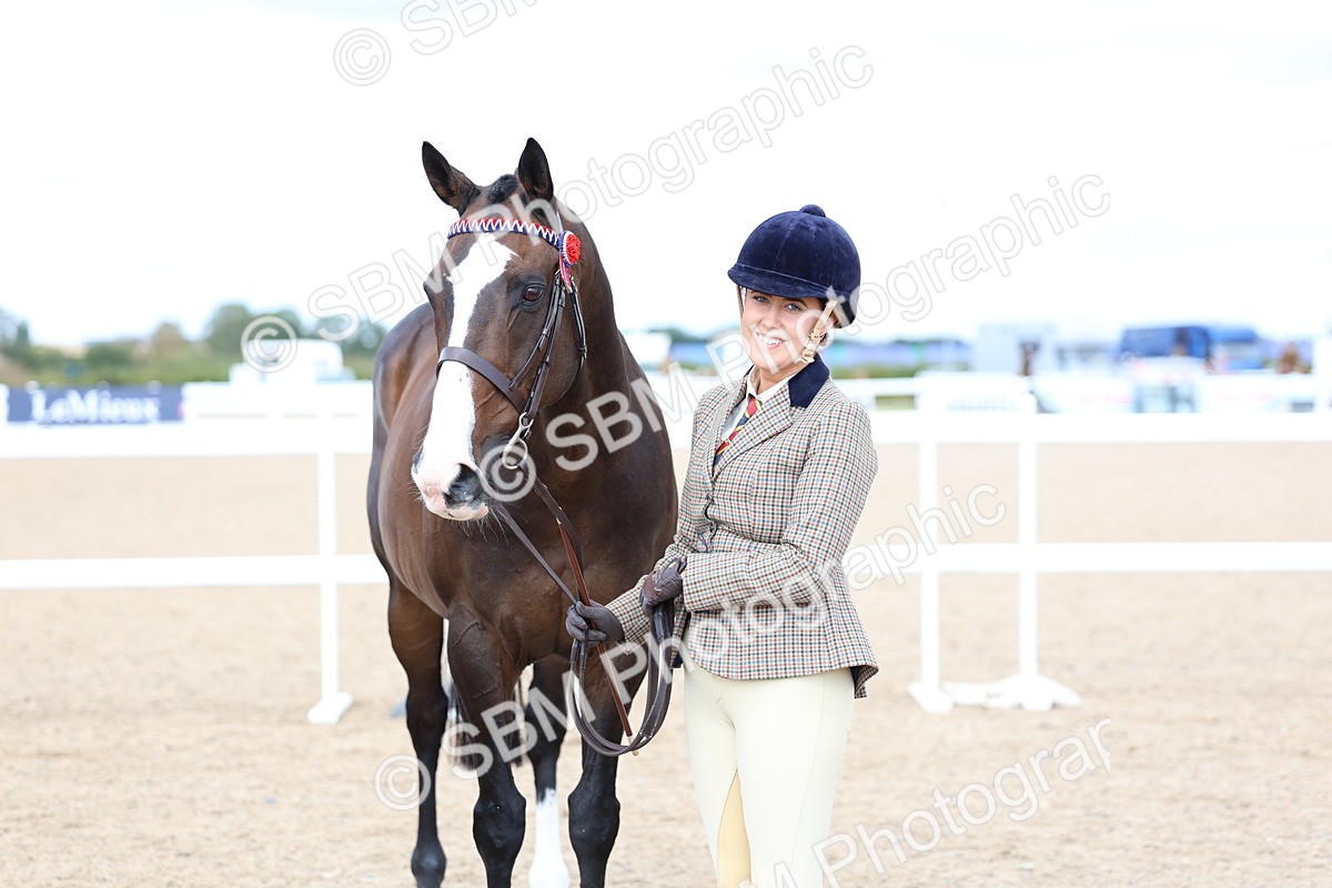 SBM_15279 - Class 313 - IH Retired Racehorse