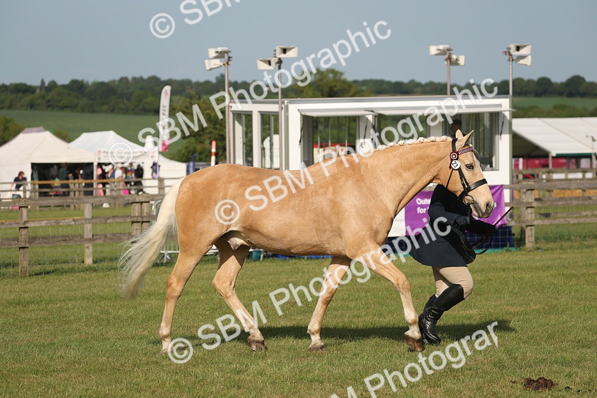 SBM_10502 - Class 33-38 - SSADL RIHS Qualifiers