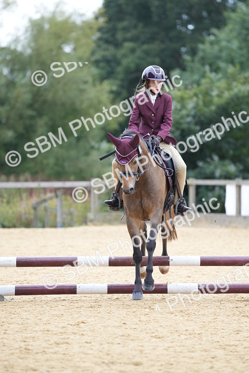 SBM_74825 - J4 - Mini Tour Junior Pony 45cm Championship