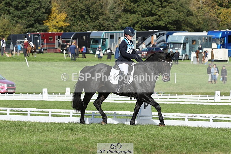 251024A-115232-10063 - D-356-Eloise.Starr