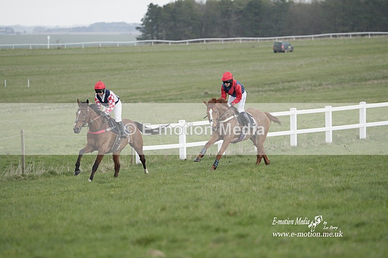PtP 260323 0576 - New Forest Hounds Point-to-Point Larkhill 26/03/23