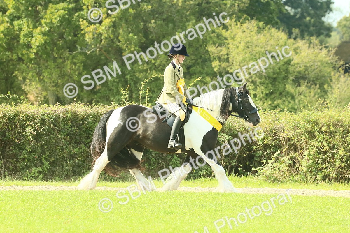 SBM_68999 - S58 - Mini Show Cob Ridden