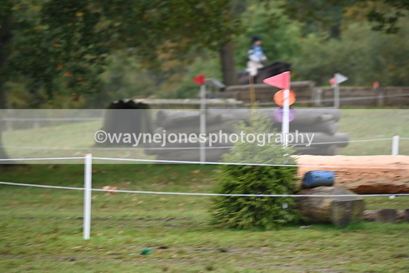 WJ6_2646 - 80cm Cam 1 Time 11:23 to 12:04