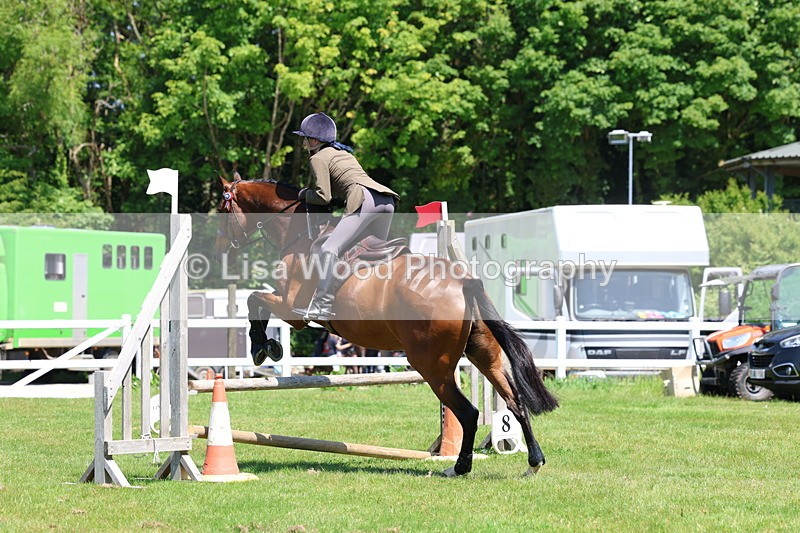 3E7A7465 - Class 31: Working Hunter Cob/Riding Horse