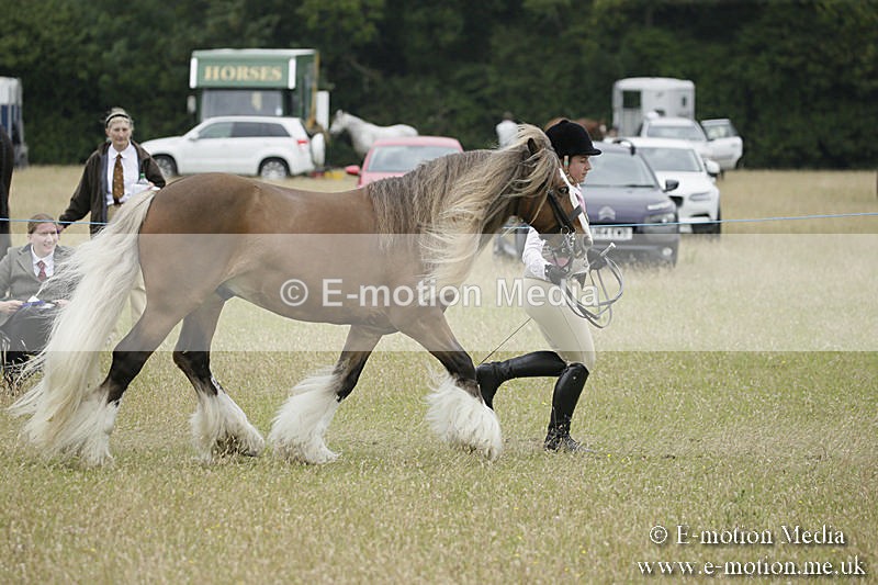 B230619-0731 - Bourne Valley Riding Club Summer Show 23/06/19
