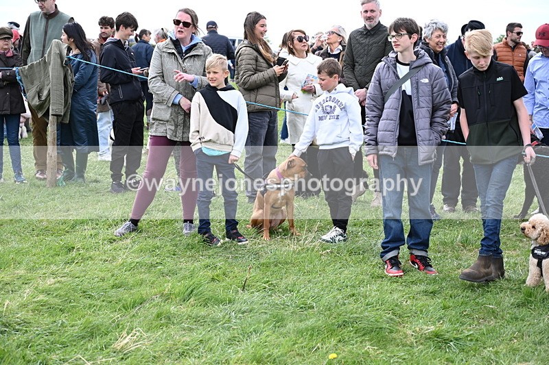 WJ6_8451 - Class 6 Best Rescue