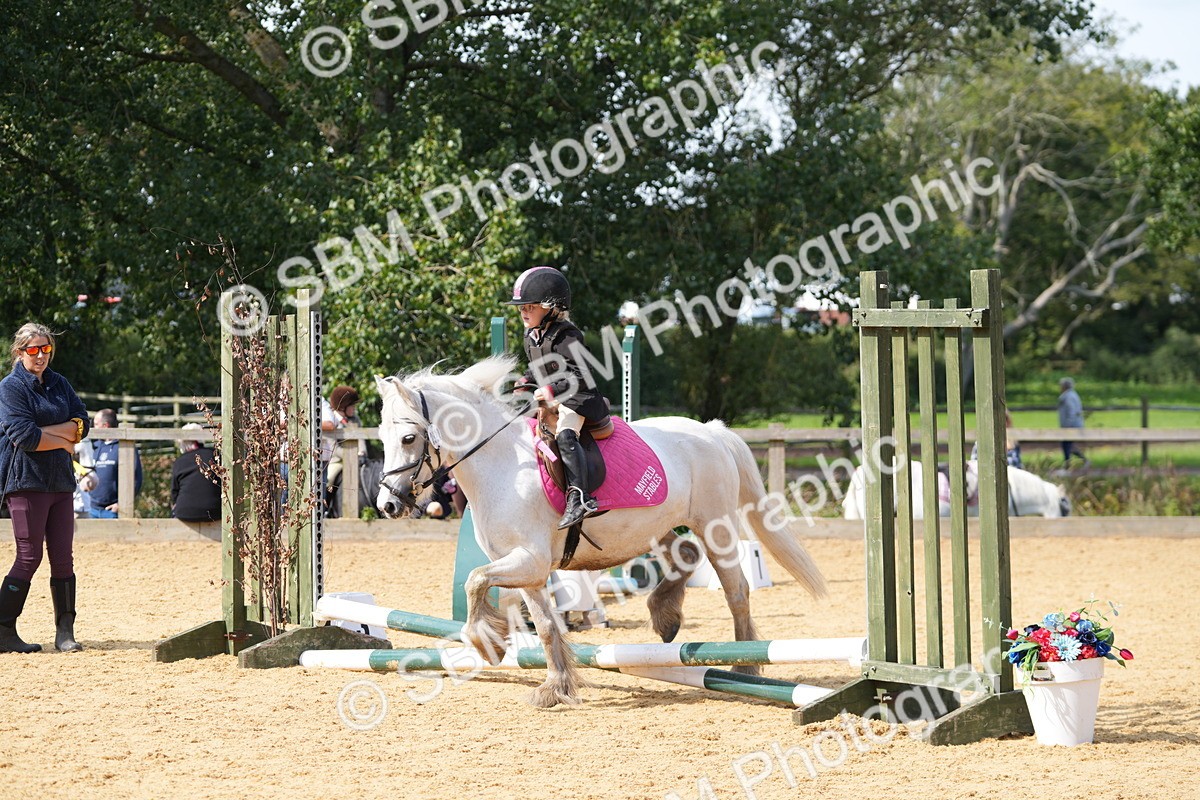 SBM_65751 - J2 - Mini Tour Junior Pony 30cm Championship