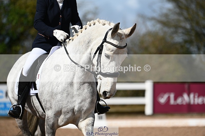 240323A-112805-02626 - DR Novice 24