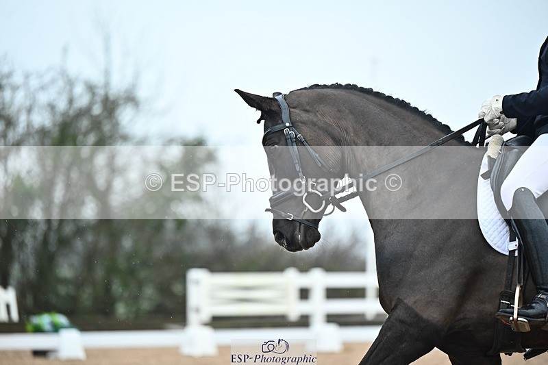 250214-132712-01913 - 122-Sally.Green-Keystone.Fernandina