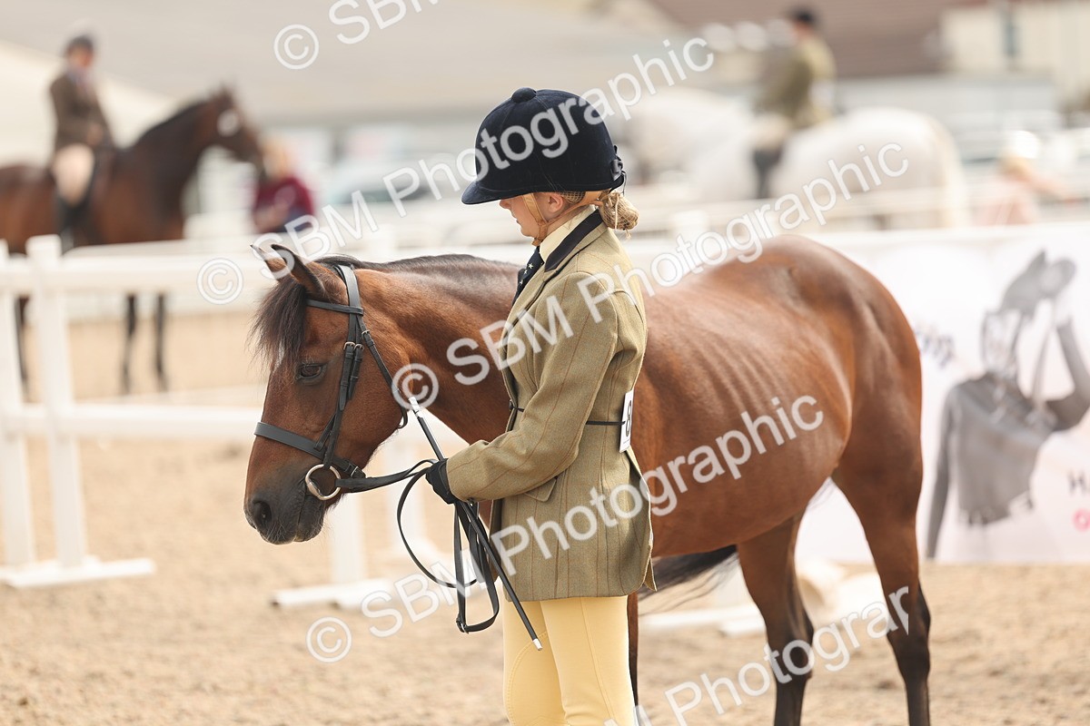 SBM_16997 - Class 312 - IH Competition Horse-Pony