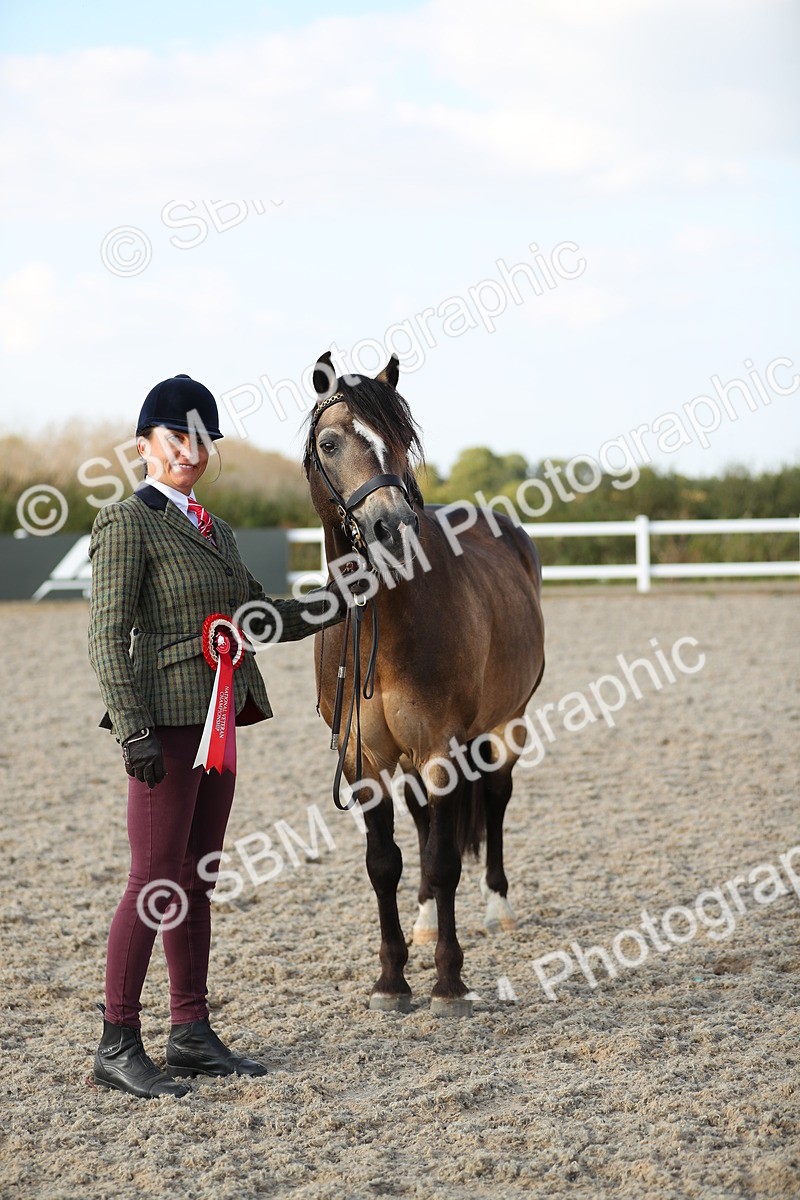 SBM_09086 - Class 29 IH Veteran Pony