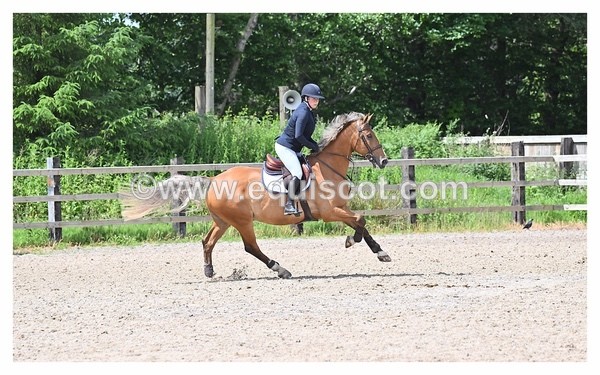 BPP_1061 - CLASS 4 FRI Newcomers/ 1.10m Open