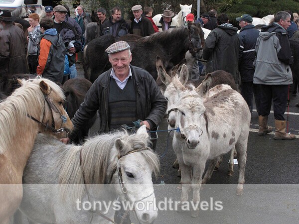 21, The horse fair at Maum Cross, Co.Galway - Horse Fairs, Ireland
