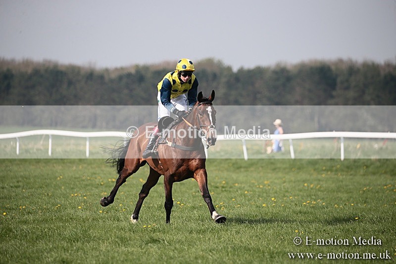 PtP 210418 443 - South & West Wilts Point-to-Point Larkhill 21/04/18